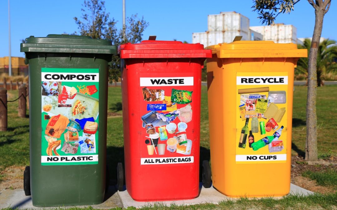 The Ultimate Guide to Sorting Your Waste Like a Pro in Toronto